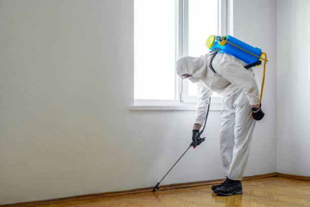 Best Pest Control Near Me in De Graff, OH