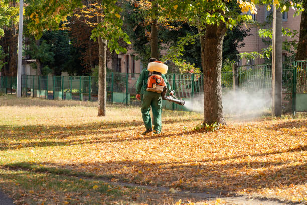 Best Mosquito Control Services  in De Graff, OH