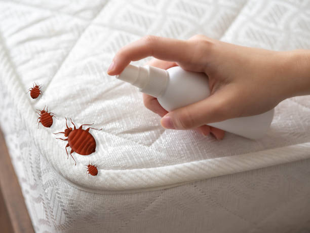 Best Best Pest Control Companies  in De Graff, OH