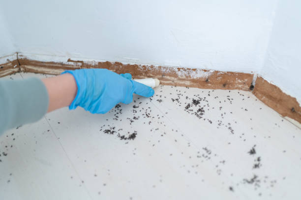 Best Pest Prevention Services  in De Graff, OH